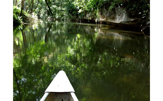 Canoe on a river