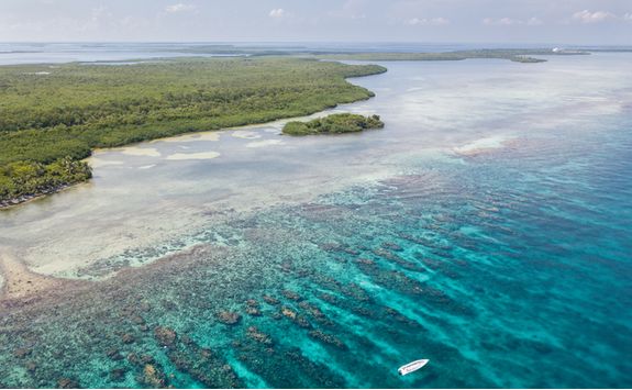 Belize reef aerial