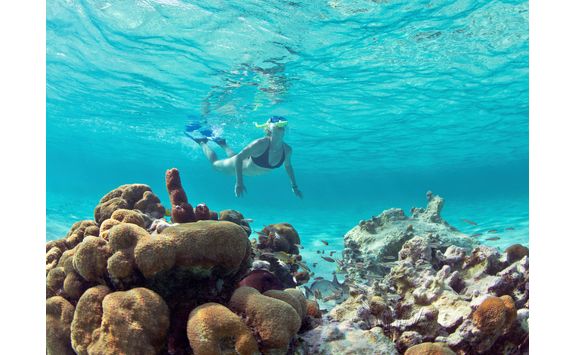 Snorkelling in Belize