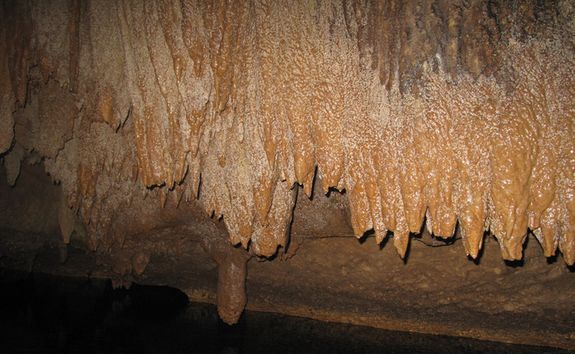 Stalactites in Barton Creek