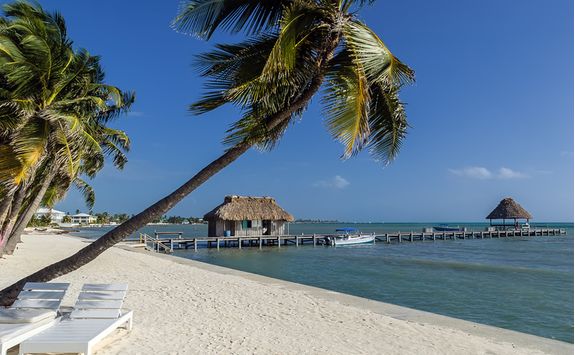 Palm Tree Beach