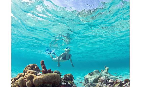 Snorkelling Underwater