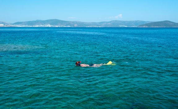 Snorkelling in the Sea