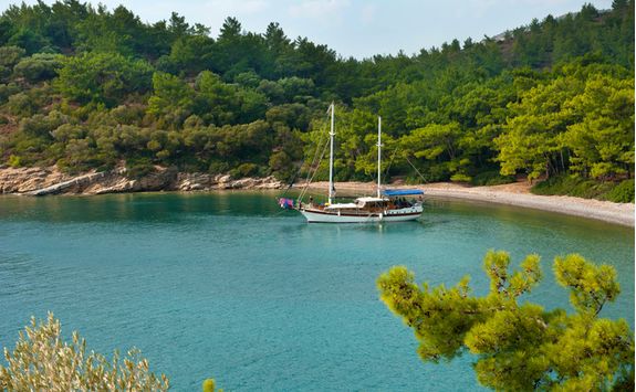 Sailing Boat