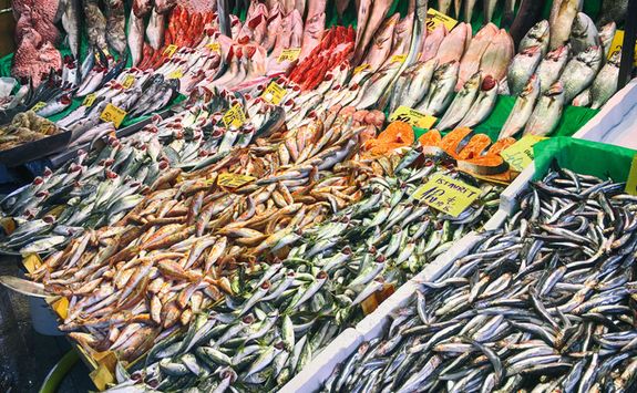 Fish Market