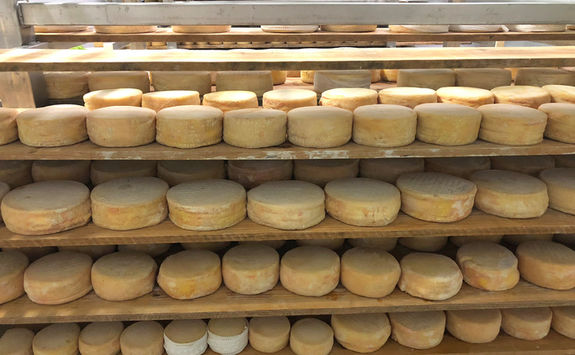 Cheese shelves