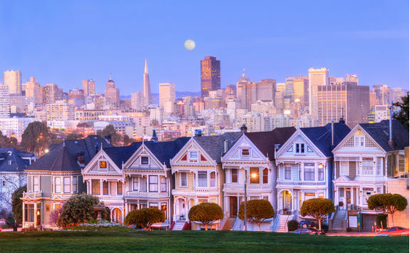 Painted Ladies in moonlight