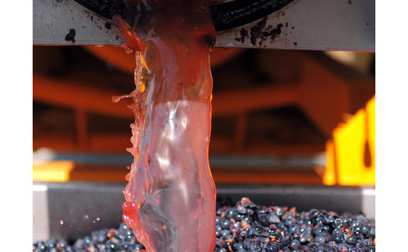 Wine making