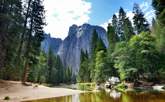 Yosemite National Park