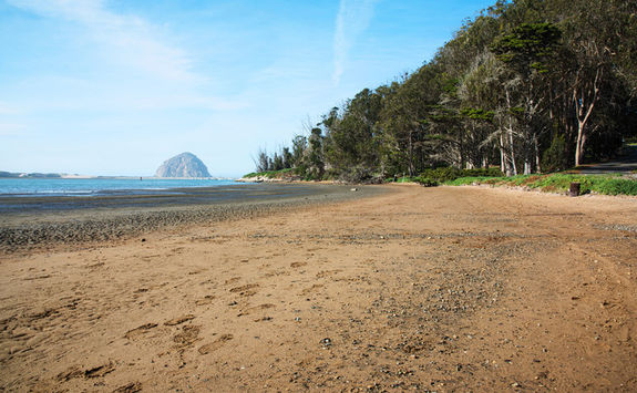 Morro Bay