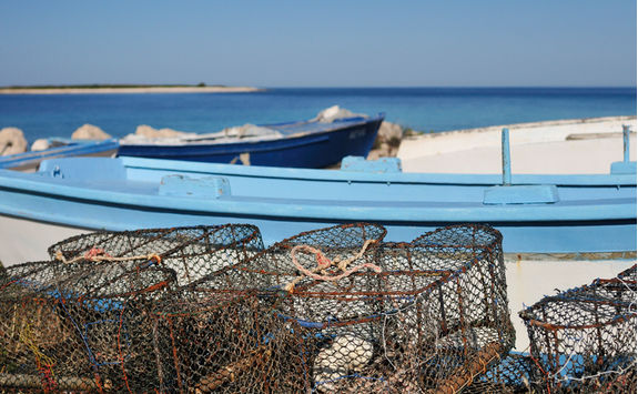 fresh seafood