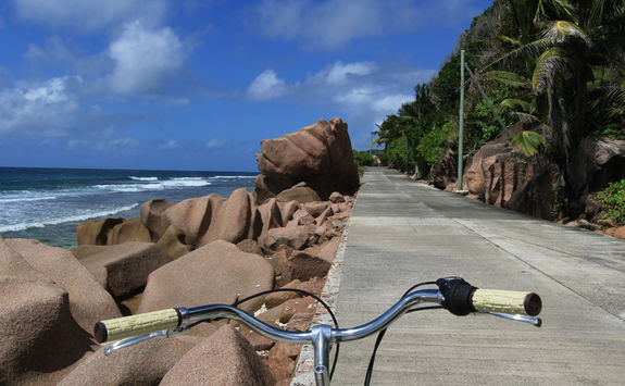 Bicycle tour