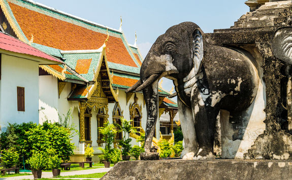 wat chiang man