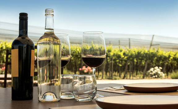 wine and vine