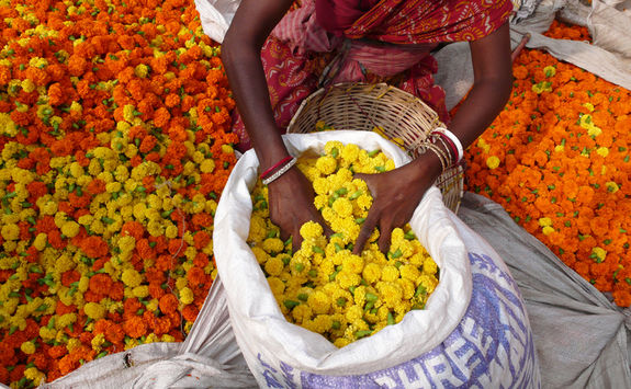 Sack of flowers in Kolkata market