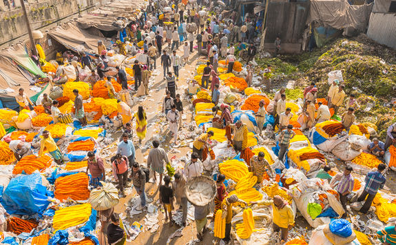 Kolkata flower market