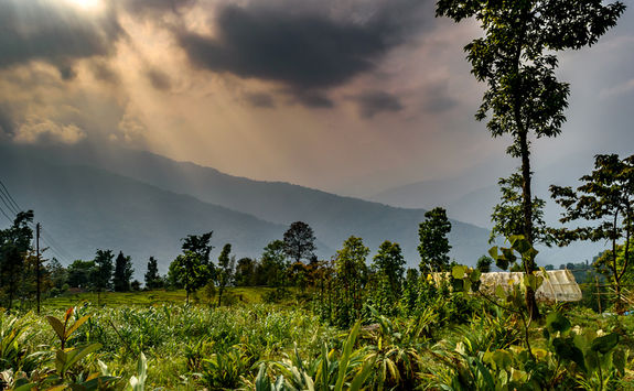 Kalimpong way, Darjeeling
