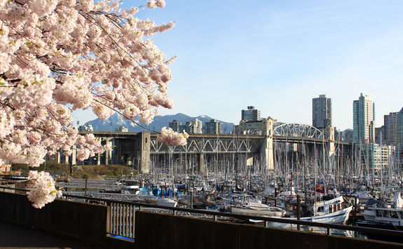 Vancouver city tour