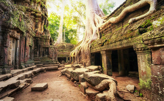 Angkor Wat Cambodia Ta Prohm Khmer Temple