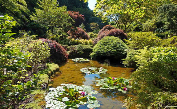 Pond in Butchart Gardens
