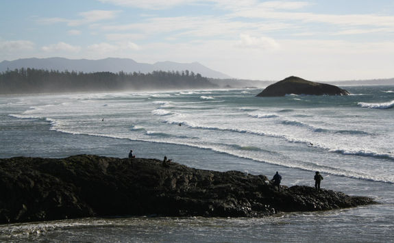 Surfing waves in Tofino