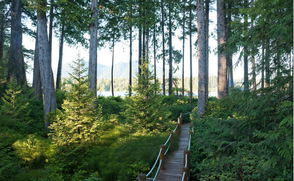Pacific Rim National Park Reserve