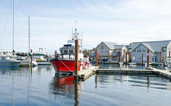 Marina on the Campbell River