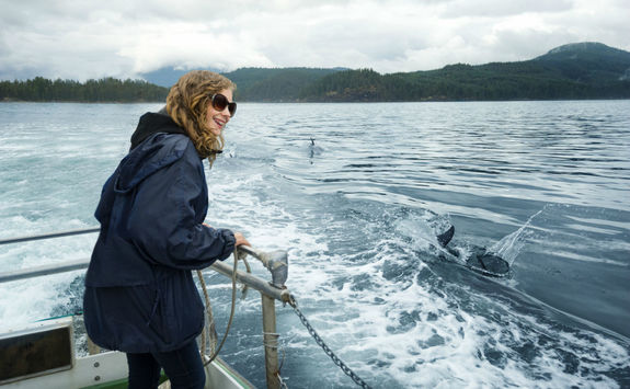 Dolphin watching Vancouver Island