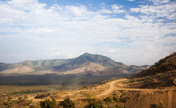 mago np landscape
