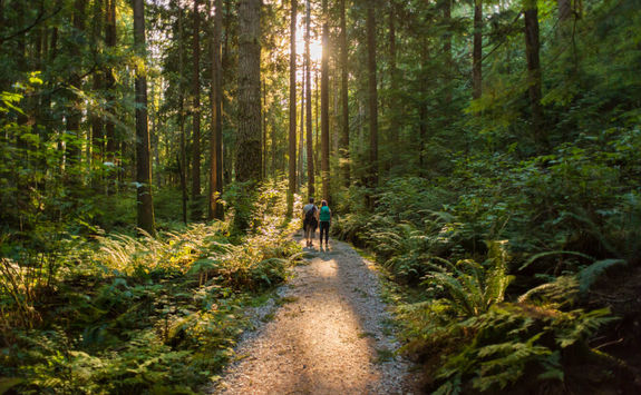 Couple hiking through the woods