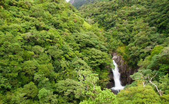 Jungle waterfall