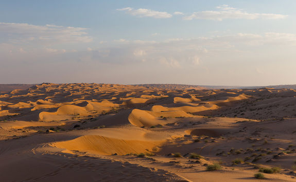 Wahiba Sands view