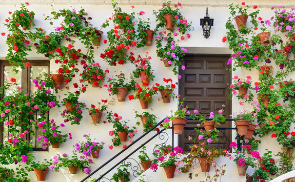 cordoba wall