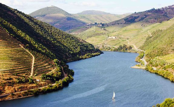 Sailing on the Douro valley