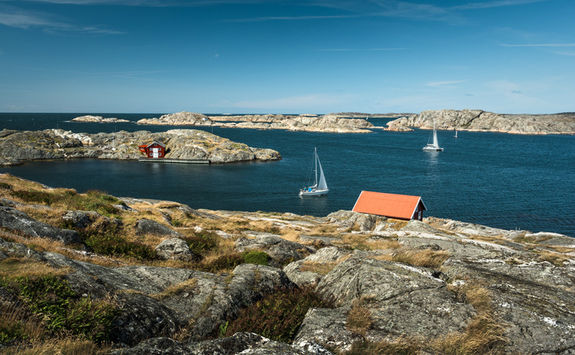 Sailboat sea landscape