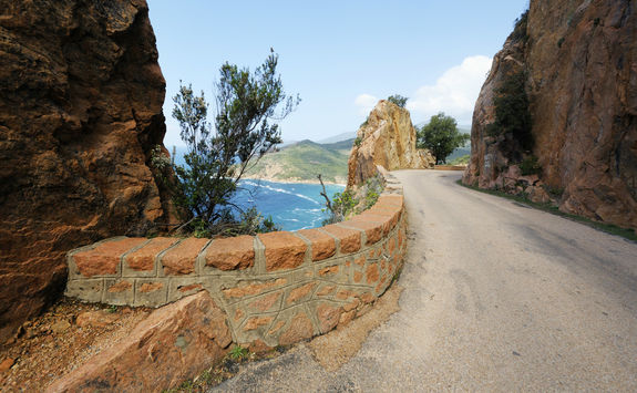 Corsica Road