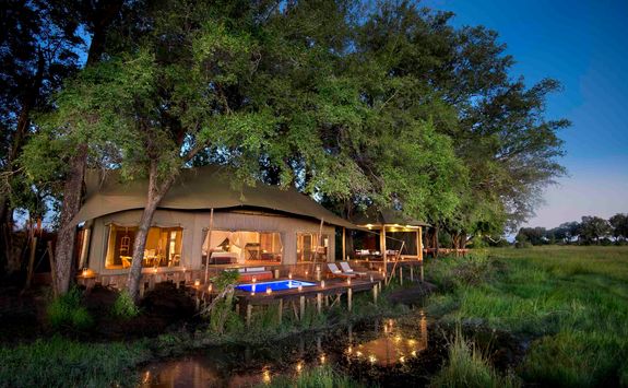 Duba Plains tent