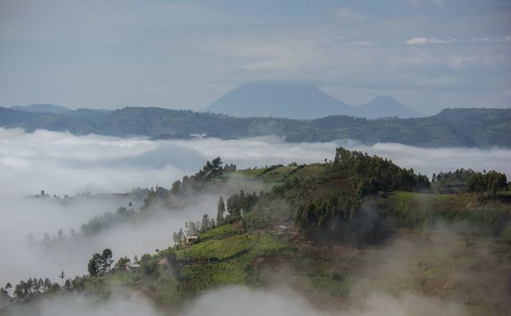 Bwindi National Park