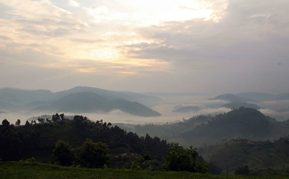 Morning mist over Bwindi forest