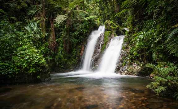 Waterfall in Ugandan forest