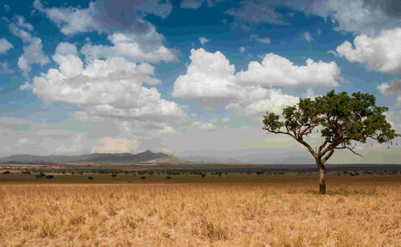 Kidepo landscape