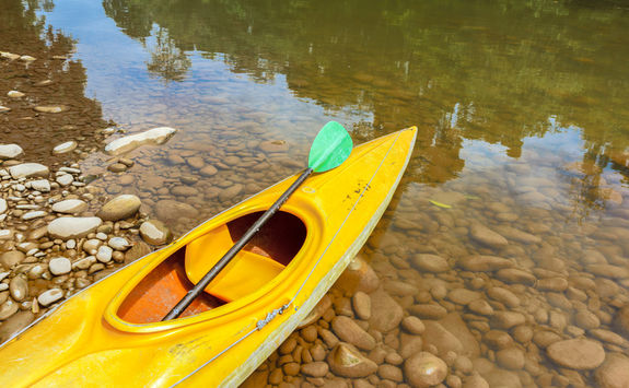 Kayak