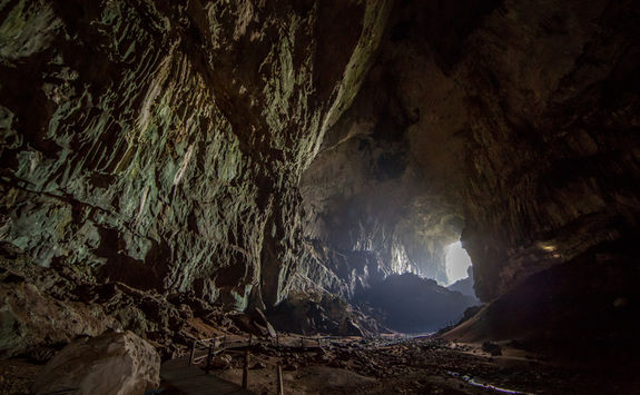Deer cave