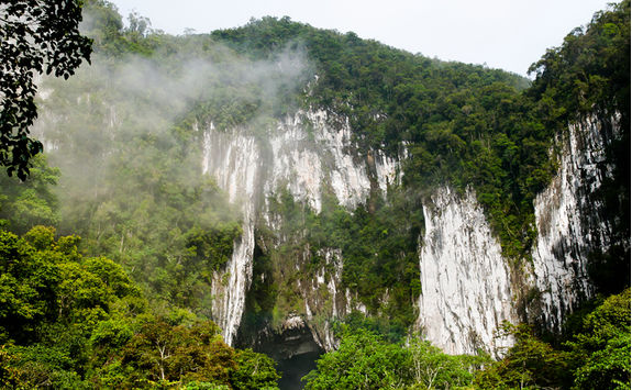 Deer cave
