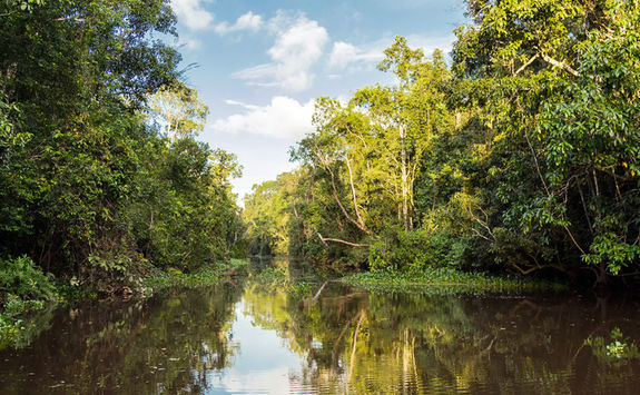 Kinabatang wetlands