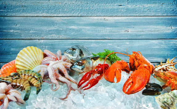 Fresh seafood on ice