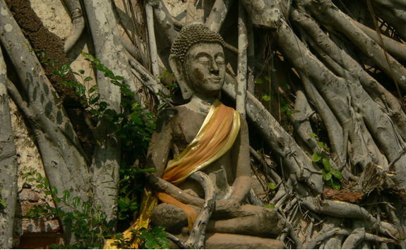 Gaya Island Buddha