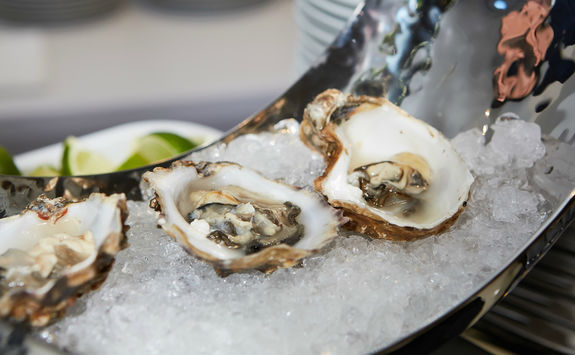 Oysters