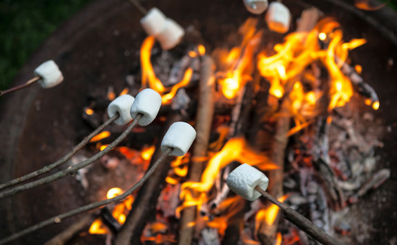 Marshmallow Camp