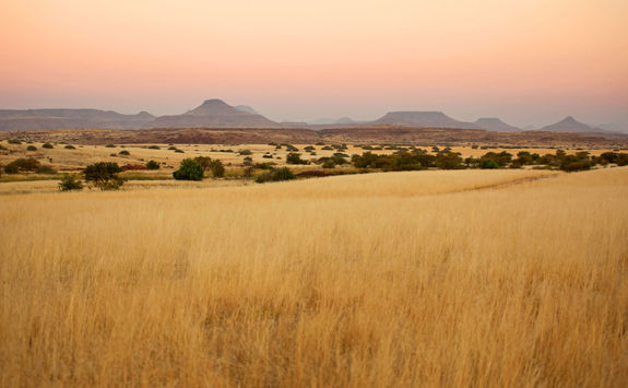 palmwag landscape